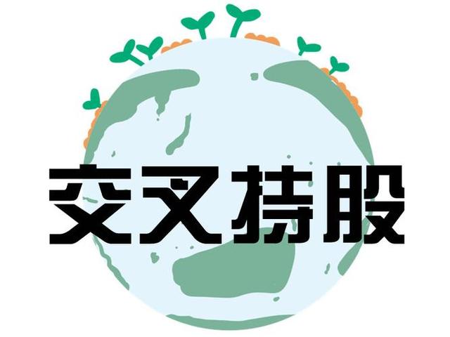 交叉持股安排设计(交叉持股怎么计算持股比例)襄阳市